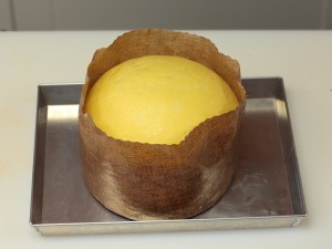 gastronómica panettone