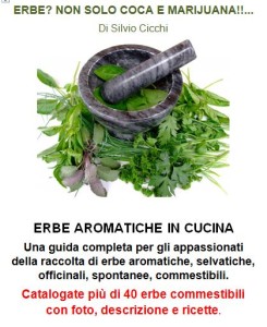 erbe aromatiche