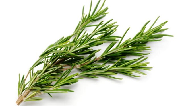 rosemary