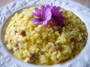 La Malva Guida alla Raccolta e Uso in Cucina