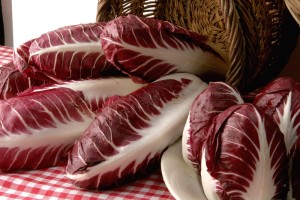 radicchio