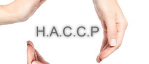 HACCP certificate