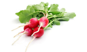 Radishes