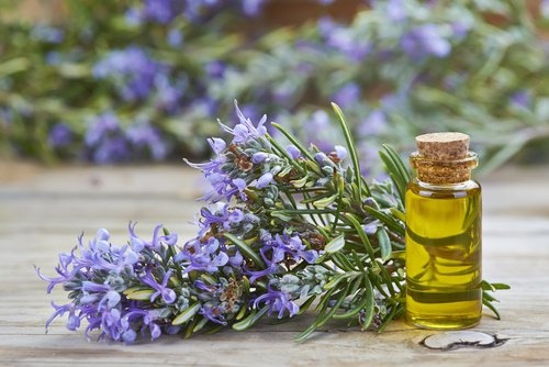 Preparation Oil Rosemary Mediterranean