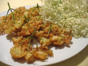 The fritters Elder Flowers