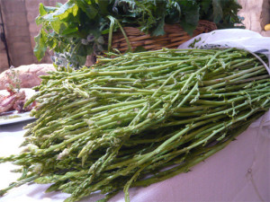 The Wild Asparagus