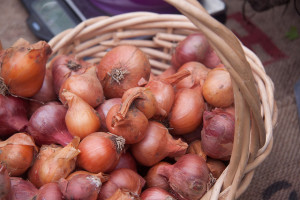 Or use Shallot Onion Pizzeria