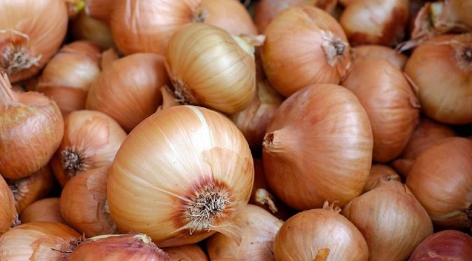 How to store onions without sprouting them