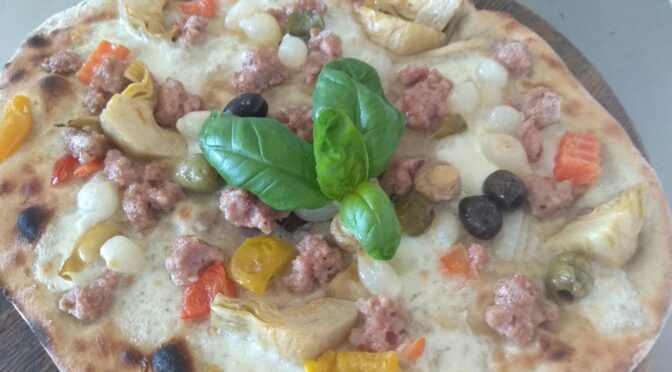 Pizza com mussarela e legumes